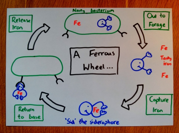 A Ferrous Wheel
